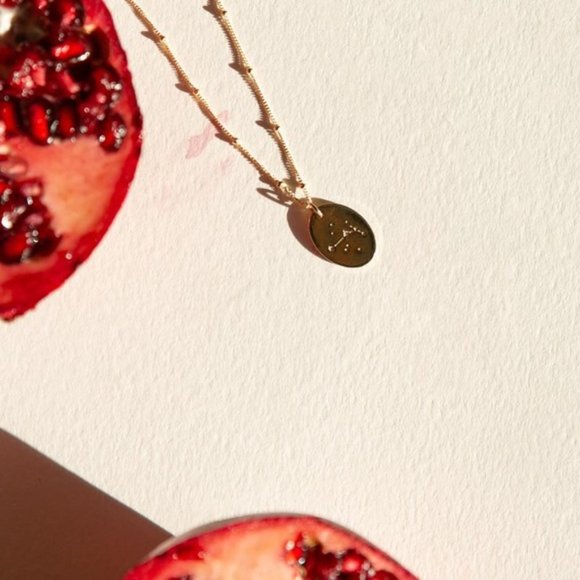 Aries Minimal Indie Pendant Zodiac Charm Necklace - Picture 6 of 9